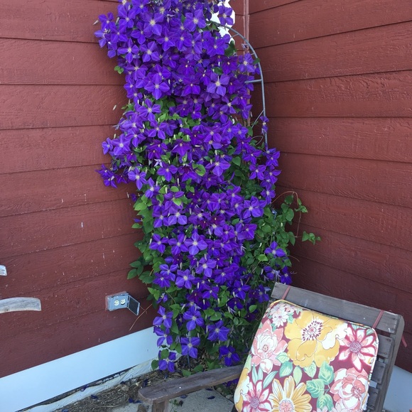 Meet your Posher, Abba - Picture 1 of 1